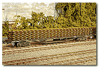 Click here to see a larger image